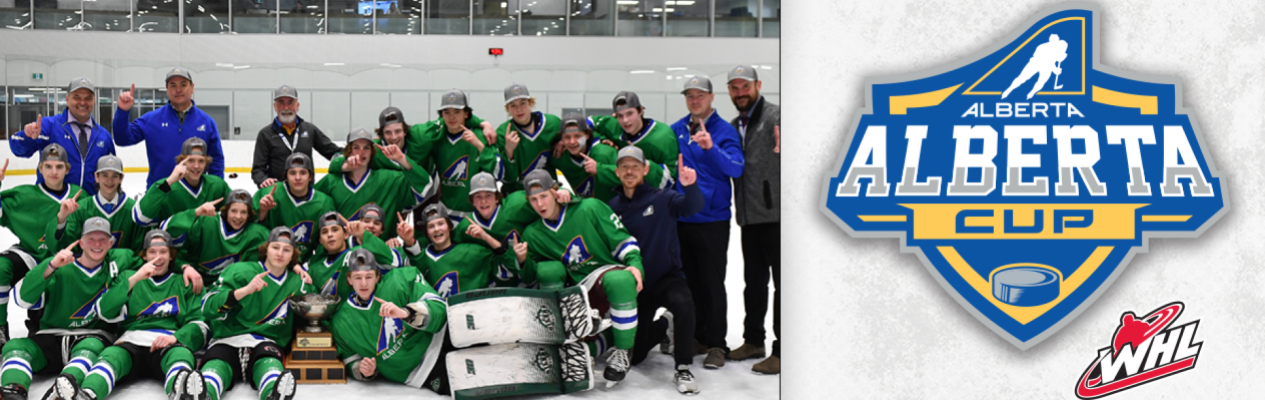 Brandon Valley Hockey Association unveils new logo